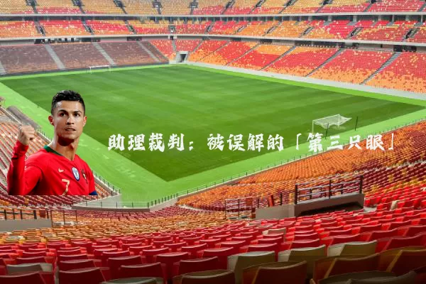 助理裁判:被误解的「第三只眼」